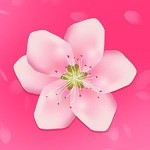 蜜乳视频直播软件下载安装