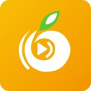 番茄社区tomato交友下载