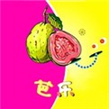 不良网软件