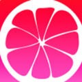 懂片帝app下载大全